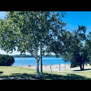 Meet your Posher, Emelia